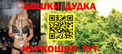 эйфоретик Славгород