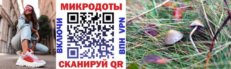 дарнет шоп  Старый Оскол  Псилоцибиновые грибы Psilocybe 