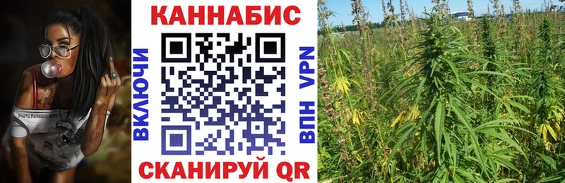 купить наркотик  Старый Оскол  Марихуана гибрид 